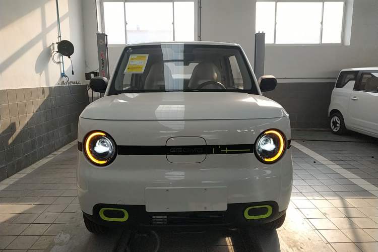 Used  Panda 2025 210 km – Yuanqi Bear

