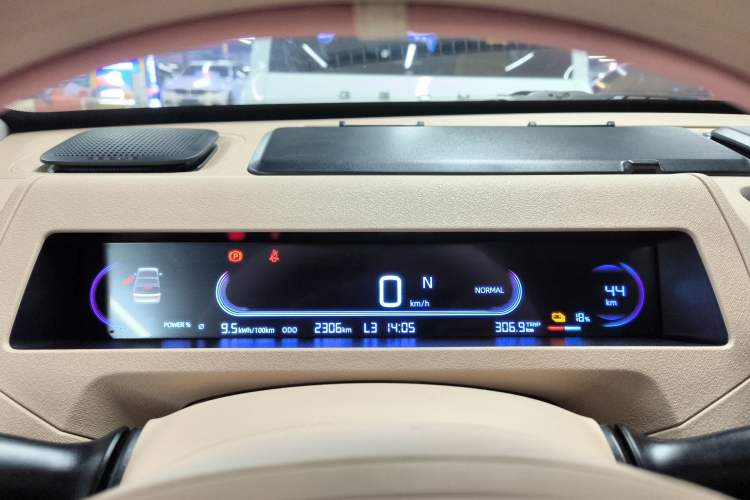 Used  Panda 2024 200km Panda Kart
