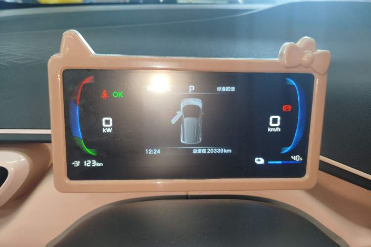 Used BYD Seagull 2024 Honor Edition 305km Dynamic Version
