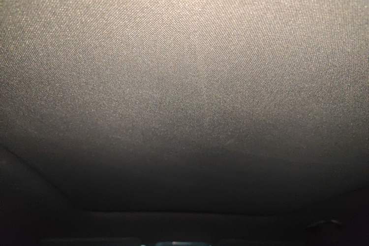 Used  #1 2022 Pulse Heartbeat Edition
