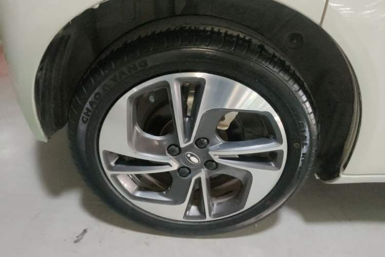 Used ORA White Cat 2020 305 km Luxury Version
