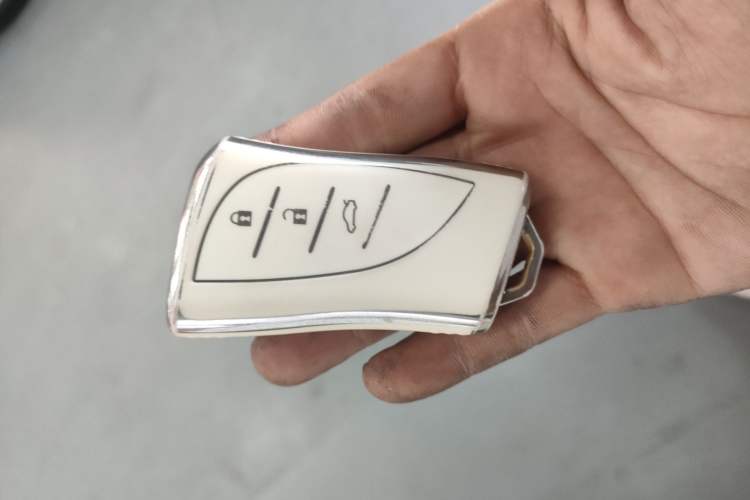 Used Lexus UX New Energy 2020 300e Pure·Joy Edition
