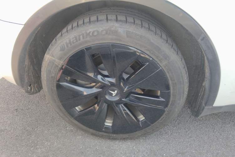 Used Tesla Model Y 2021 Standard Range Rear-Wheel Drive Version
