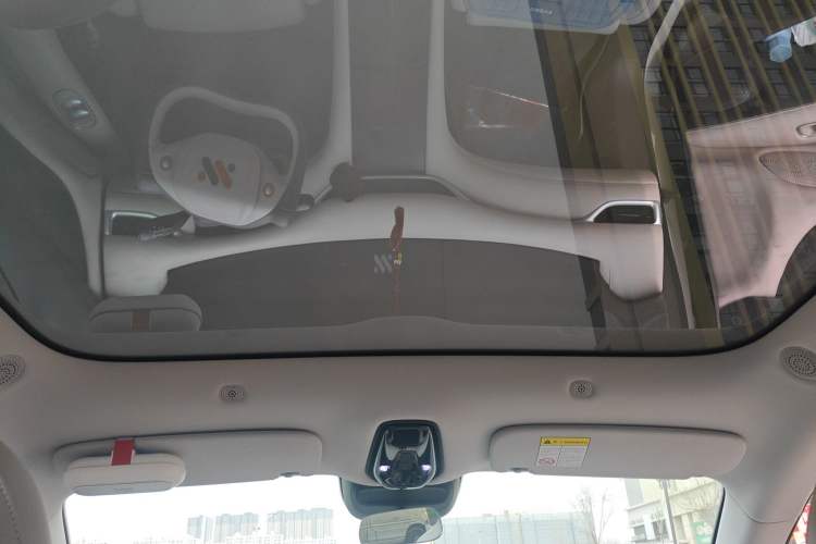 Used IM LS6 2023 Max Standard Edition
