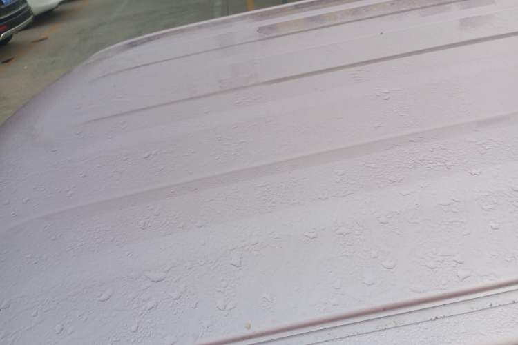 Used  Panda 2024 Panda Mini 200km Endurance Bear