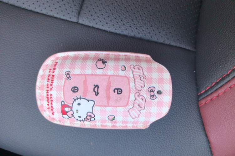 Used Geely Auto Vision X3 2021 PRO 1.5L CVT Deluxe Model
