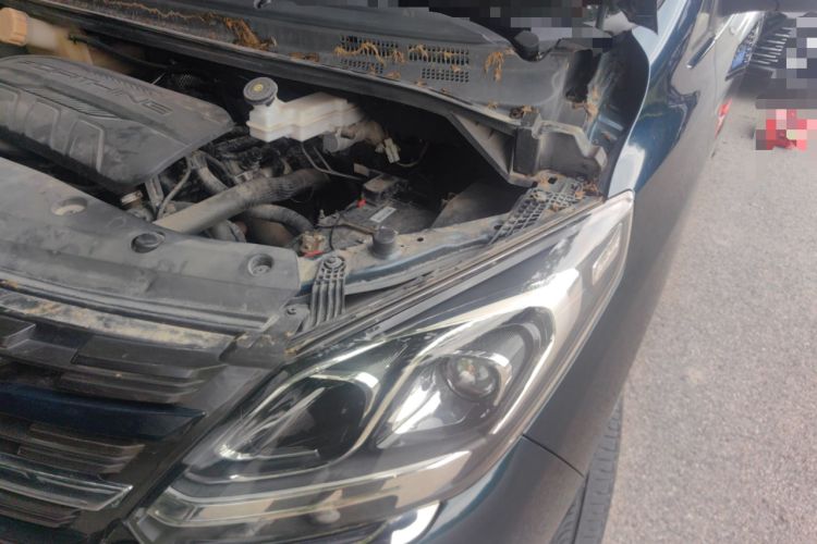 Used FORTHING M7 2022 Lingjue Model 2.0T Automatic Marquis Edition
