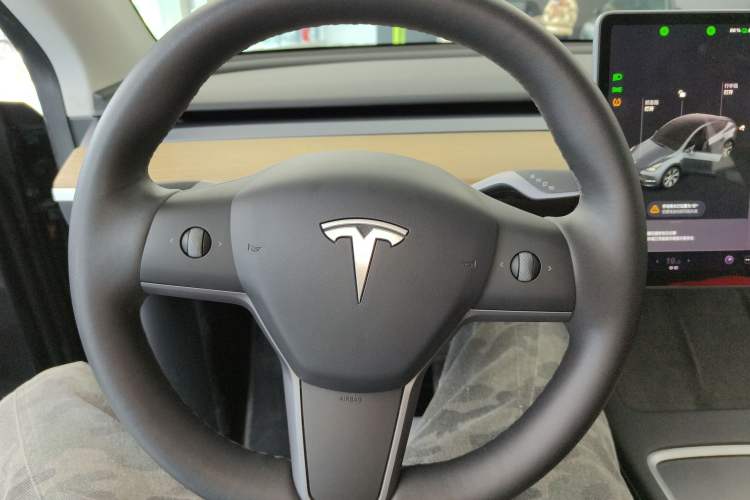 Used Tesla Model Y 2021 Standard Range Rear-Wheel Drive Version
