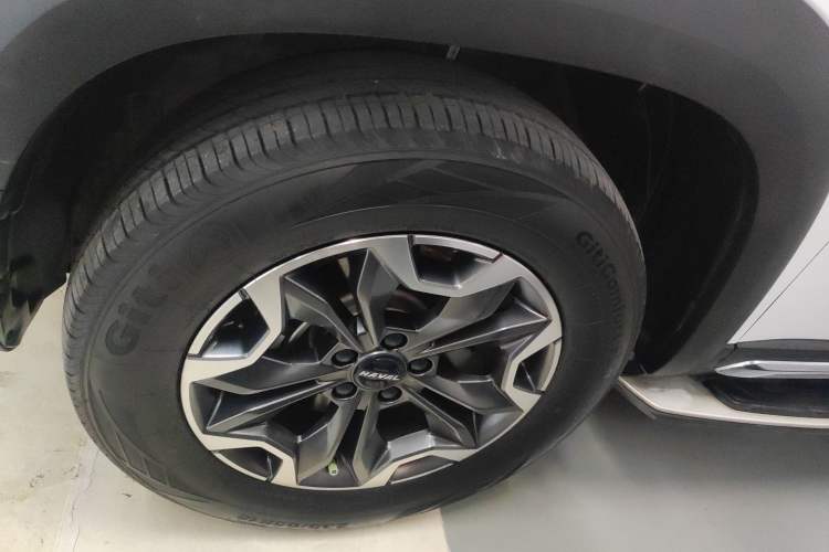 Used Haval DARGO 2022 2.0T DCT 4x4 Chinese Rural Dog Edition
