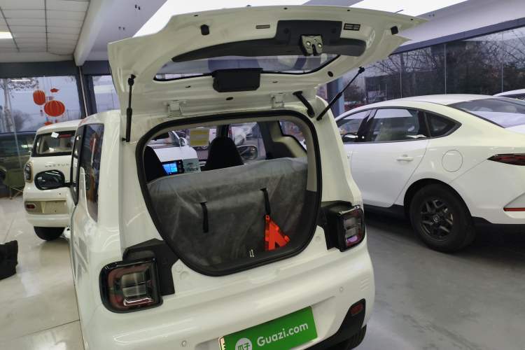 Used  Panda 2024 Panda Mini 200km Endurance Bear
