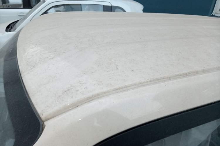 Used  Panda 2025 210 km – Yuanqi Bear