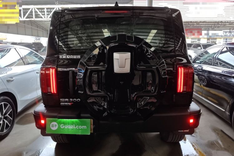 Used Tank 300 New Energy 2025 Hi4-T
