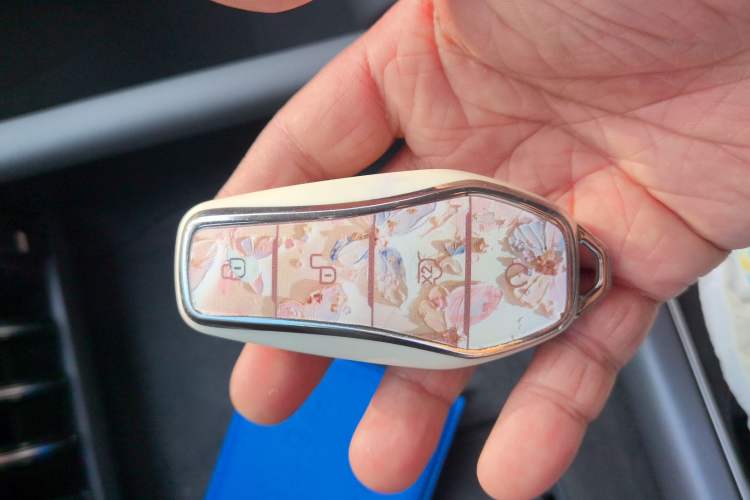 Used BYD Yuan PLUS 2025 Intelligent Driving Version 510 km Leading Edition