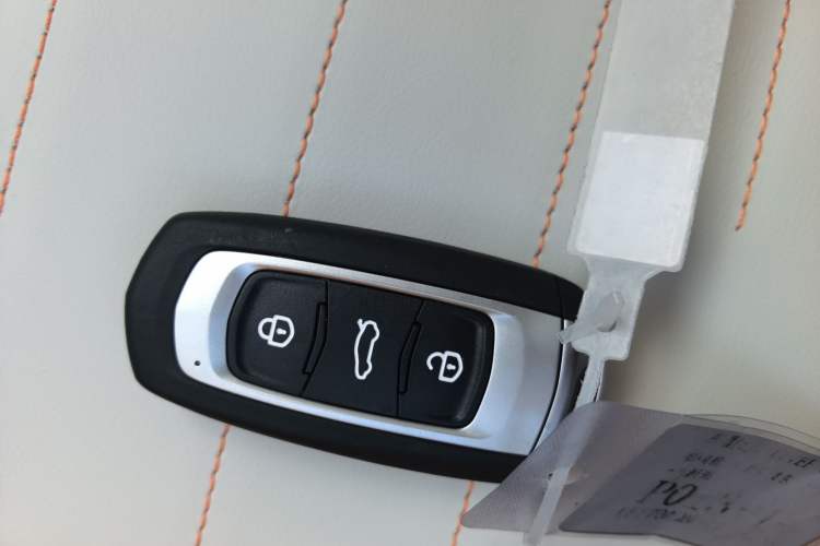 Used  Panda 2024 Panda Mini 200km Endurance Bear
