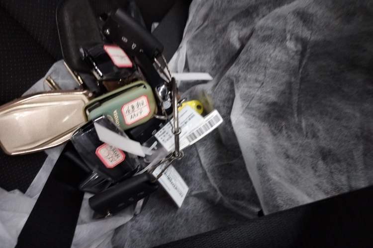 Used Geely Auto Monjaro L 2024 2.0TD DCT EVO Two-Wheel Drive Long-Range Version
