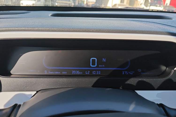 Used  Panda 2025 210 km – Yuanqi Bear