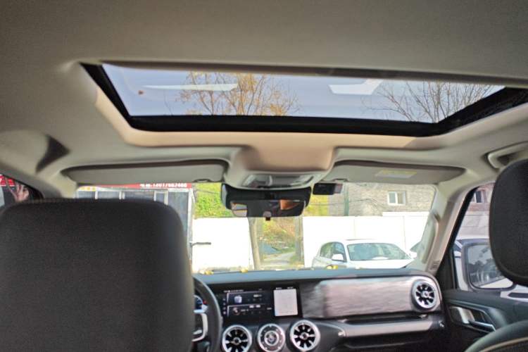 Used Tank 300 2023 Off-Road Edition 2.0T Conqueror
