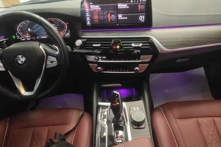 Used BMW 5 Series 2021 530Li Leading Luxury Package