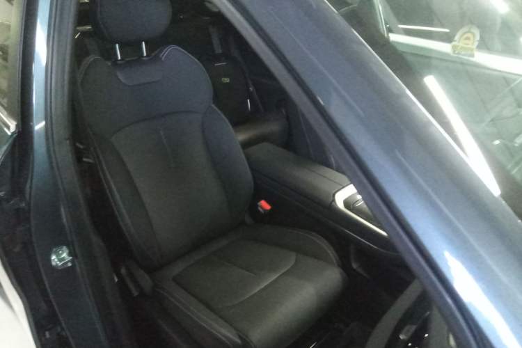 Used Livan Livan 7 2023 605 km ZHU FENG
