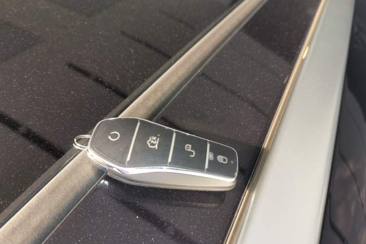 Used BYD Tang New Energy 2025 DM-i 115KM Flagship Model