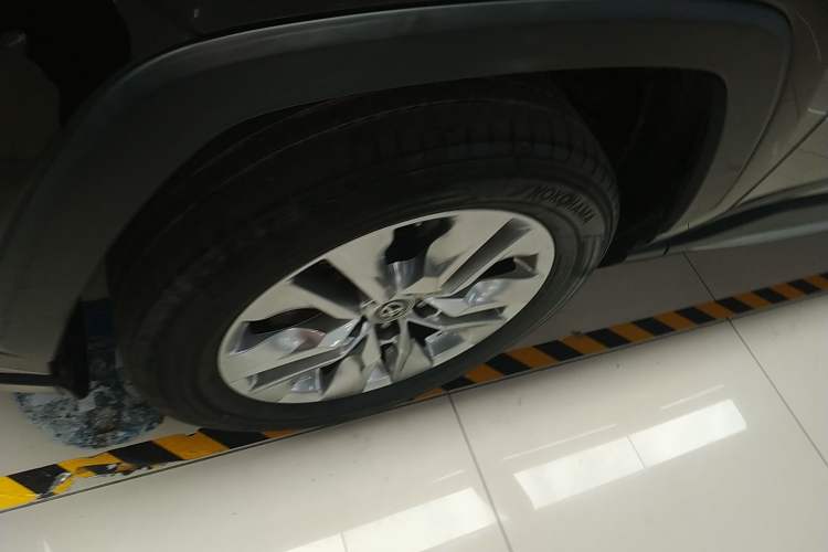 Used Toyota Wildlander 2020 2.0L CVT Two-Wheel Drive Luxury Edition