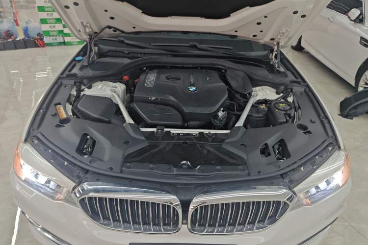 Used BMW 5 Series 2019 530Li Leading Model Luxury Package
