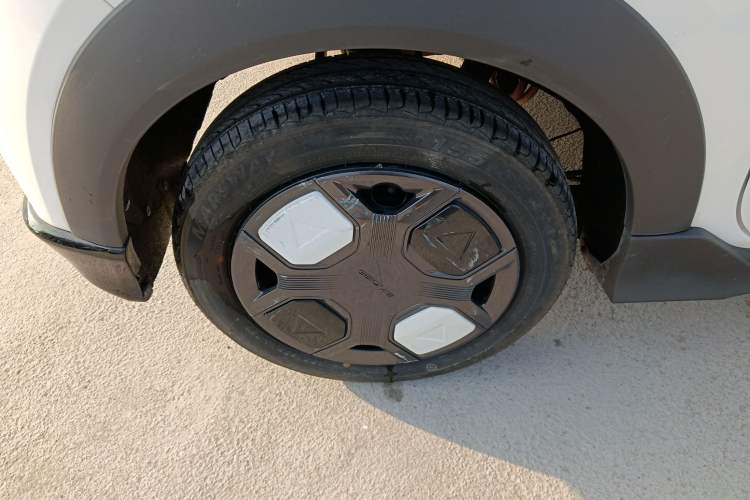 Used  Panda 2024 200km Panda Kart
