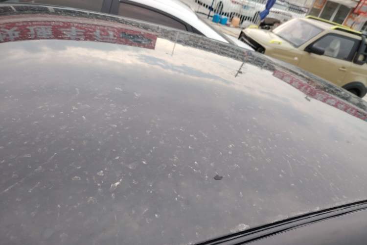 Used  Geome 2025 310km Youth Edition