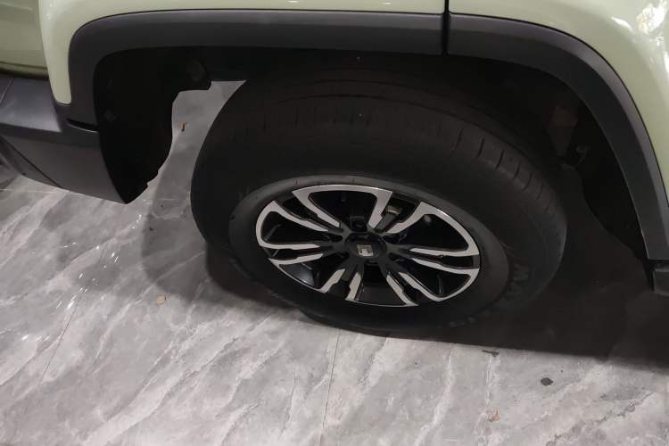 Used Tank 300 2021 City Edition 2.0T My Vision Model
