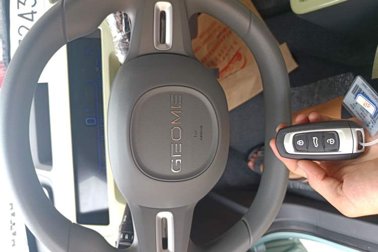 Used  Panda 2024 Panda Mini 200km Endurance Bear
