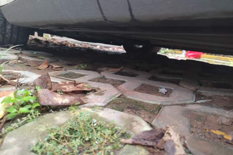 Used Ford Focus 2017 Hatchback EcoBoost 180 Automatic Elite Model
