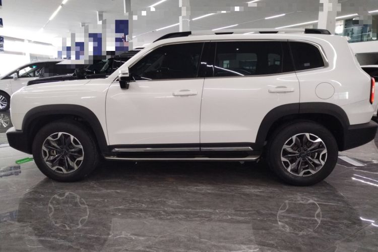 Used Haval DARGO 2021 2.0T DCT 4x4 Chinese Rural Dog Edition
