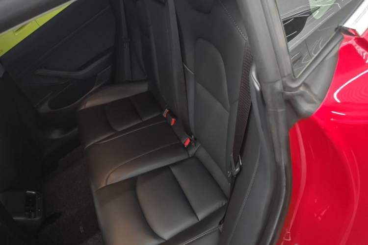 Used Tesla Model 3 2020 Revised Version Standard Range Rear-Wheel Drive – Upgraded Edition
