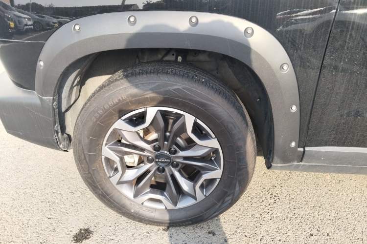 Used Haval DARGO 2024 2.0T DCT Chinese Rural Dog Edition
