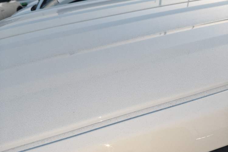 Used  Panda 2024 Panda Mini 200km Endurance Bear
