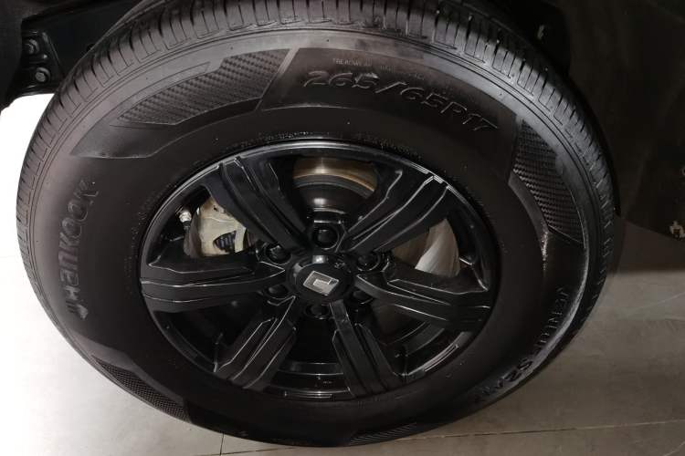 Used Tank 300 2024 2.0T Conqueror