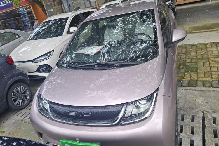 Used BYD Dolphin 2021 405 km Free Version
