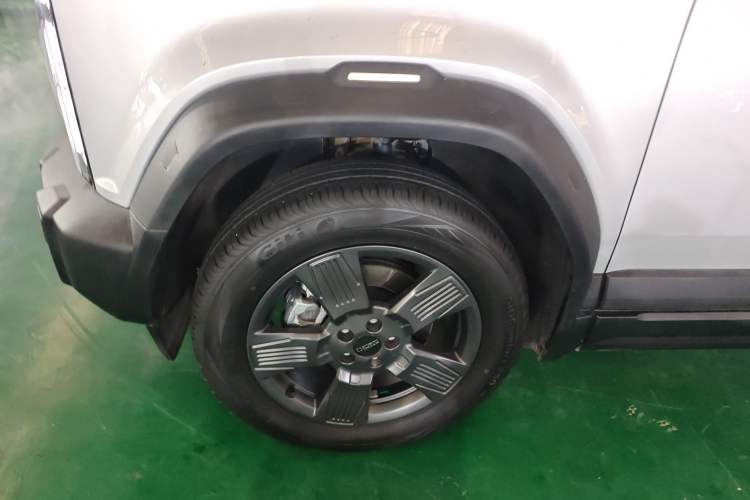 Used  03 2024 401km Two-Wheel Drive Standard Advanced Version
