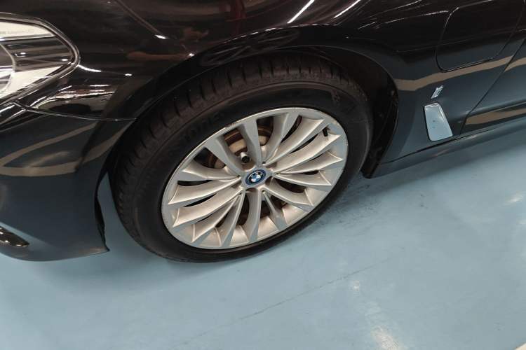 Used BMW 5 Series New Energy 2019 530Le Luxury Package
