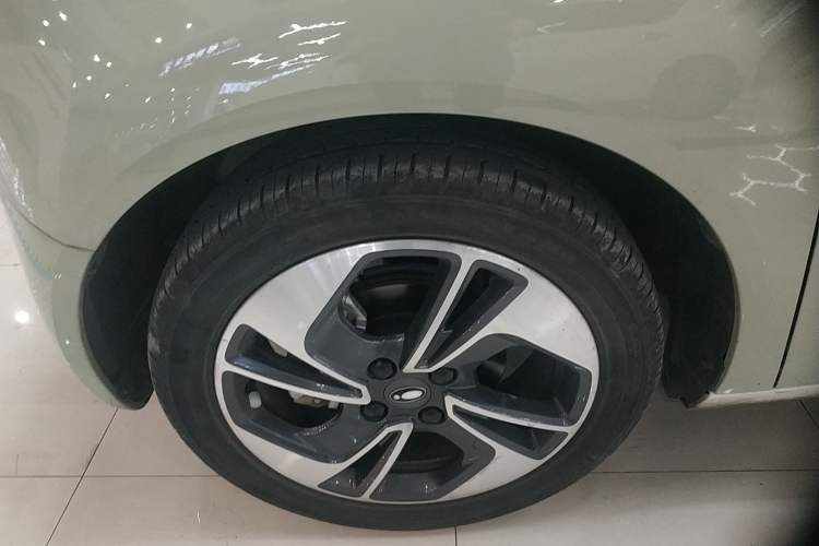 Used ORA Black Cat 2022 405 km Long-Range Version Ternary Lithium
