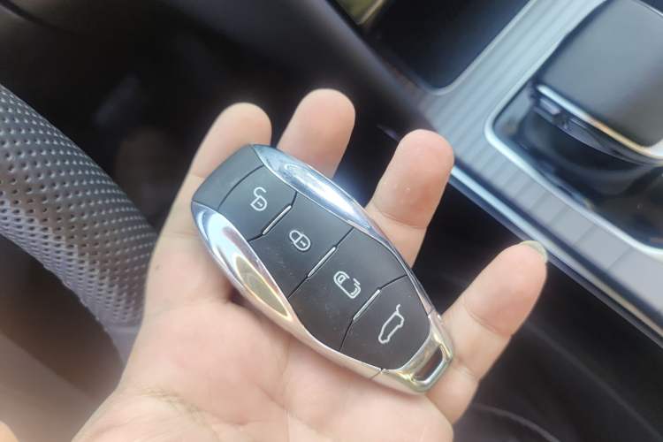 Used Hongqi HS7 PHEV 2024 2.0T PHEV Four-Wheel Drive Flagship Edition 7 Seats
