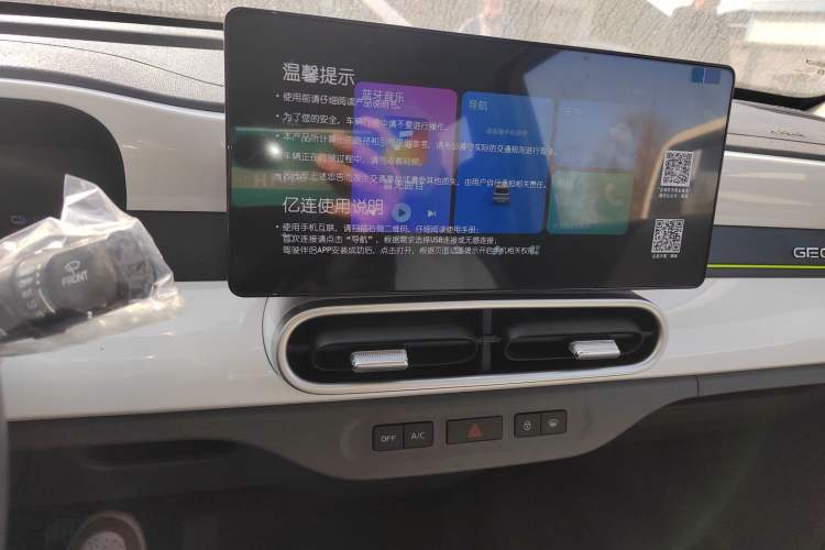 Used  Panda 2025 210 km – Yuanqi Bear
