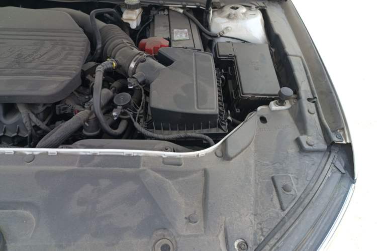 Used Ford Taurus 2019 EcoBoost 245 Premium Edition
