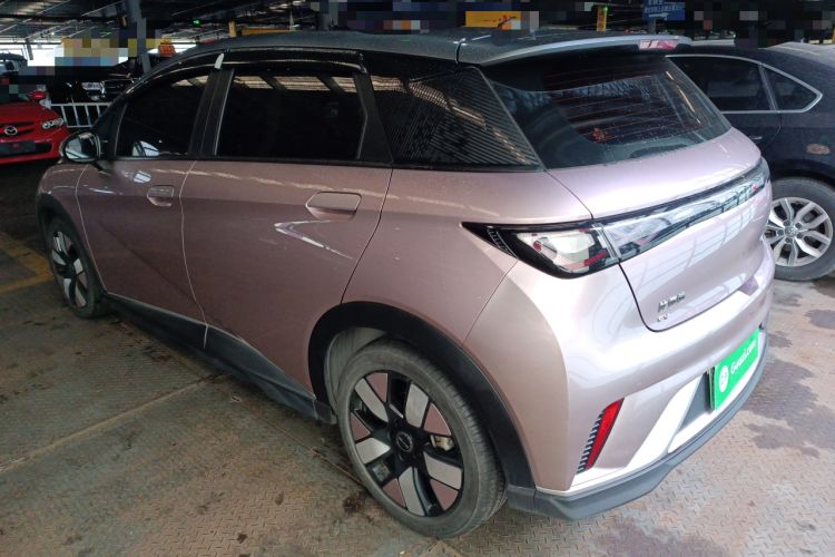 Used BYD Dolphin 2021 401km Knight Edition
