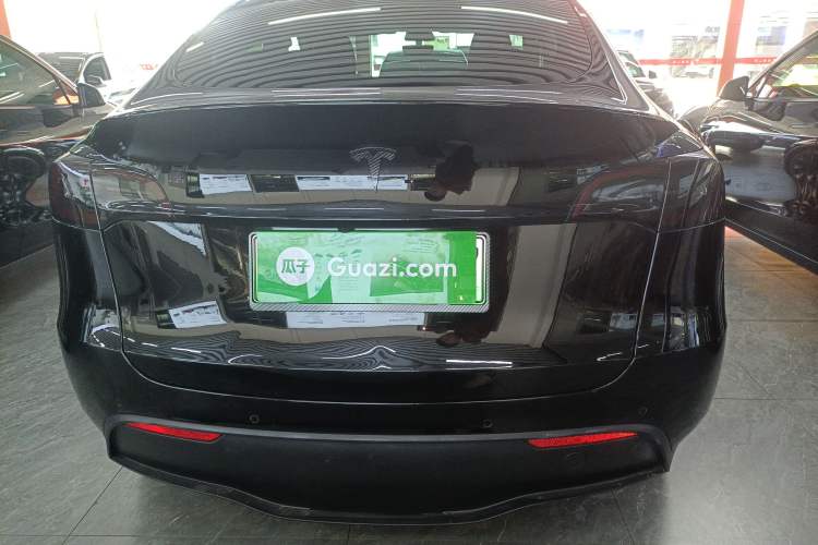 Used Tesla Model Y 2021 Standard Range Rear-Wheel Drive Version
