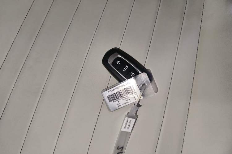 Used  Panda 2025 210km Panda Kart