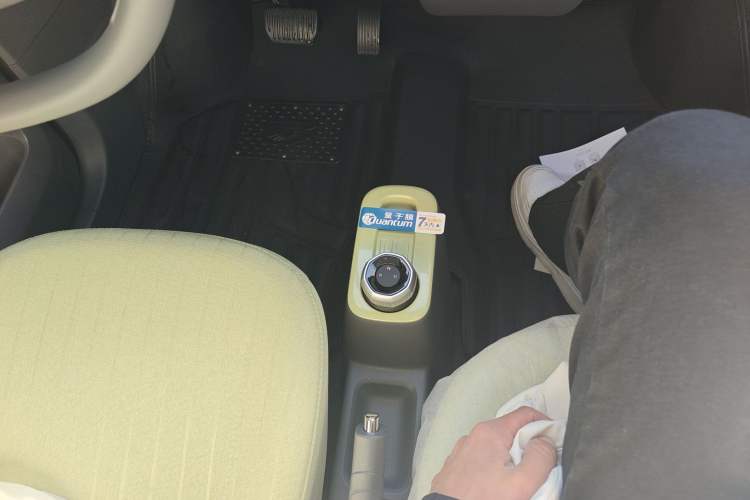 Used  Panda 2024 Panda Mini 200km Endurance Bear