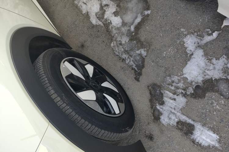 Used BYD Dolphin 2024 Honor Edition 420km Fashion Version