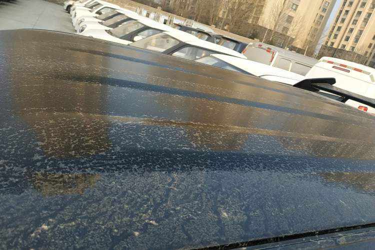 Used  Panda 2025 210km Panda Kart