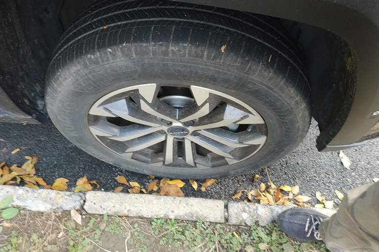 Used Haval H Dog 2023 2.0T Two-Wheel Drive Chaoye Version Plus
